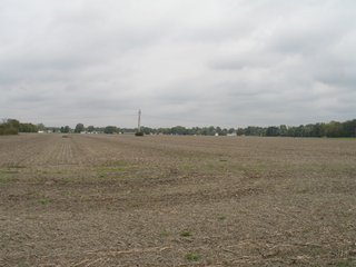 Property photo 10 - 76.8 +/- Acres Mostly Tillable - Land Auction